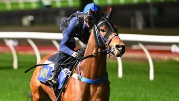 Ulster Derby winner Urban Oasis to make Australian debut at The Valley