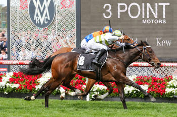 Unbeaten filly heads odds in the Thousand Guineas