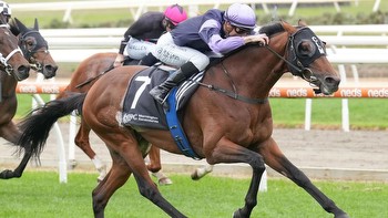 Unbeaten Melbourne Cup favourite White Marlin to put unbeaten record on the line at Pakenham on Thursday