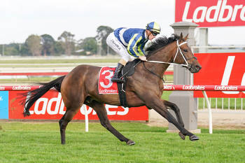 Uncle Bryn chases Caulfield Cup berth at Caulfield