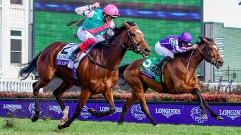 Uncovering Historical Tips and Trends to Handicap the 2022 Breeders' Cup Turf