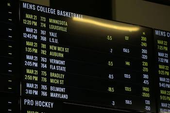 Understanding Sports Betting Odds: Beginners Guide for New Massachusetts Bettors