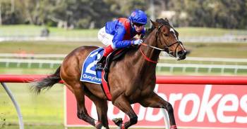 Underwood Stakes betting guide: Tips, odds, field, barriers, how to watch