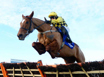 Unibet Champion Hurdle: guide to all the potential runners
