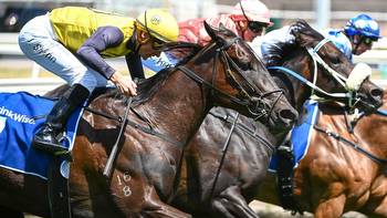 'Unnecessary, unjustifiable, unreasonable': Racing's whip rule makes no sense at all