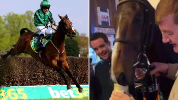 'Unreal' Guinness-drinking horse who loves it in the pub backed to be the toast of Cheltenham by winning Gold Cup