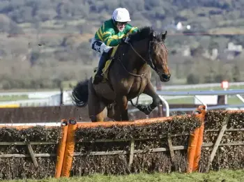 Unveiling Contenders: Deep Dive Paddy Power Stayers’ Hurdle