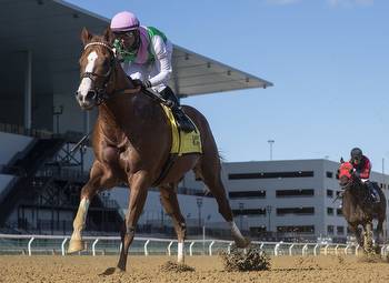 Up and Coming Curlin Colt Takes Vosburgh