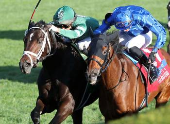Up to the Mark 'Nose' Way To the Wire in Coolmore Turf Mile