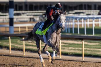 Updated 2023 Kentucky Derby odds: Angel of Empire is the favorite after scratch of Forte