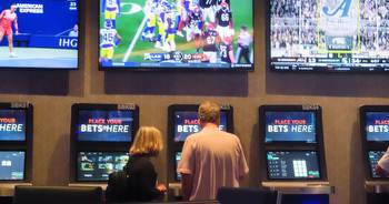 USA: 1 In 5 Adults Bet On Sports