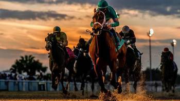 Using History as a Guide to Betting the 2023 Risen Star Stakes