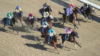 Using History to Handicap the 2020 Breeders’ Cup Distaff