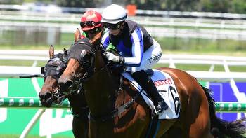 Vandyke reveals Oaks favourite nearly put up for sale