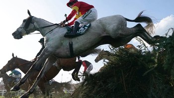 Vanillier Leads the Charge in the 2024 Grand National: A Look at the Favorites and the Field