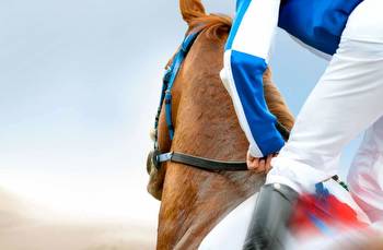VAR from the Madding Crowd: Thankfully technology hasn't yet derailed horse racing experience