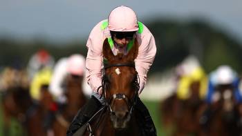 Vauban clears Melbourne Cup hurdle with Ballyroan Stakes win