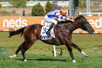 Veight humming ahead of Coolmore Stud Stakes