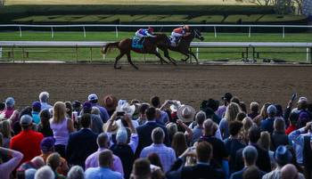Verifying Favored in 50-point Kentucky Derby Qualifier
