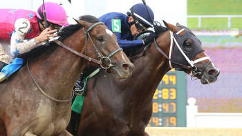 Verifying holds by nose in Indiana Derby; Defining Purpose best in Oaks