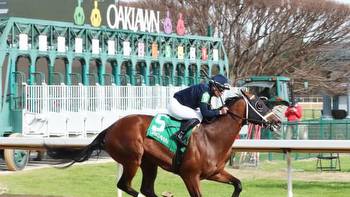 Verifying, Sophomore Half-Brother to Midnight Bisou, Wins Impressively at Oaklawn