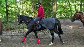 Verry Elleegant is ready to go for her Longchamp assignment in the Qatar Prix Foy