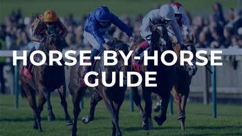 Vertem Futurity Trophy Stakes preview and tip