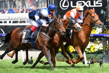 Vet checks continue for Caulfield Cup horses