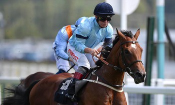 Veteran jockey Franny Norton hopes Sir Ron Priestley can be knockout hit in the St Leger