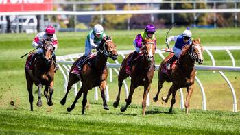 Victoria Police issue warning to racegoers as state prepares for first full crowd at Melbourne Cup since 2019