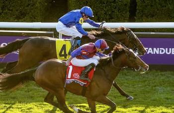 Victoria Road gives Europe a sweep in BC Juvenile Turf