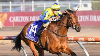 Victorian mare Snapdancer has been ruled out of next week's The TAB Everest