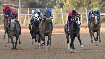Victory Formation Stays Perfect With Smarty Jones Stakes Win