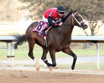 Victory Formation Tops GII Risen Star