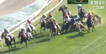 (Video) Jockeys injured as four horses crashed in Shatin Racecourse