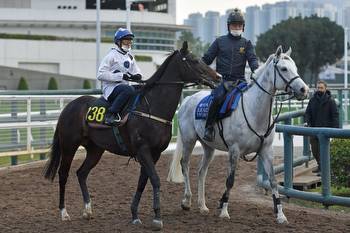 Vincent Ho Keeping Faith in Golden Sixty Ahead of Stewards’ Cup