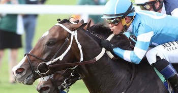 Virginia-bred Gigante headlines Virginia Derby