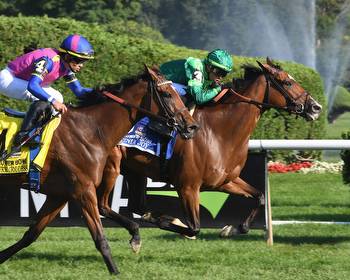 Virginia Joy Wires Flower Bowl Eclipsing War Like Goddess