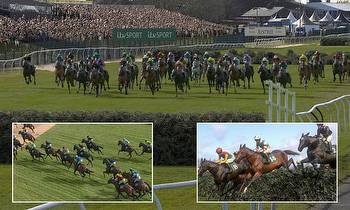 Virtual Grand National 2020 Q&A: How it works, runners, betting and profits to NHS