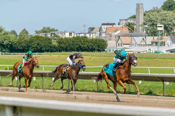 Voters in Small MA Town Reject New Horse Racetrack, Sportsbook