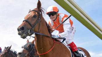 Vow And Declare primed for another shot at Melbourne Cup