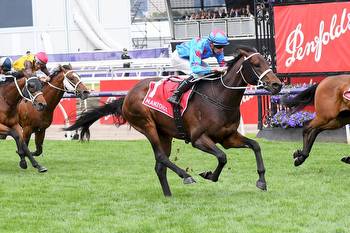 VRC Derby Win Tops Another Stellar Year For Chris Waller