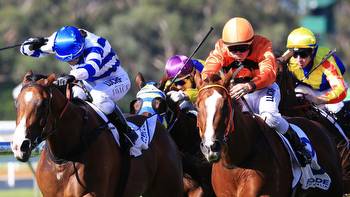 Wagga races: Preview, best bets and inside mail, Sunday racing