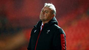 Wales v Georgia predictions: Dragons may be made to work hard for their rewards