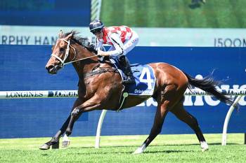 Waller galloper well backed in the Ajax Stakes