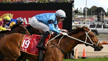 Waller turns attention to Melbourne Cup