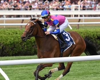 War Like Goddess Takes on the Boys in G1 Joe Hirsch Turf Classic