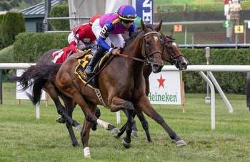 War Like Goddess tries for repeat win in Flower Bowl