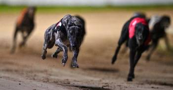Warmup For Winter Racing Festival Continues At Shelbourne Park