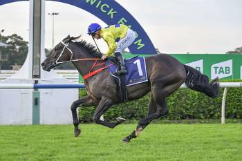 Warwick Farm preview and tips: Wednesday, October 19